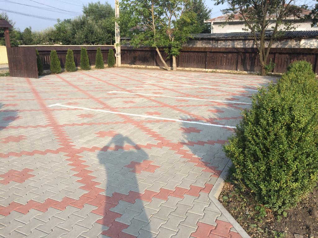 Pensiunea Dany - Crys Zvoristea Exterior photo